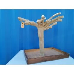 Aire De Jeux En Bois De Java Avec Socle - Medium - Back Zoo Nature -Magasin De Fournitures Pour Oiseaux De Compagnie aire de jeux en bois de java avec socle medium back zoo nature zf1113 back zoo nature aire de jeux en bois de java avec socle et 3