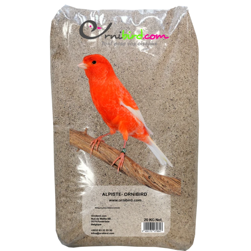 Alpiste Ou Millet Plat 20kg - Ornibird 1 Alpiste Ou Millet Plat 20kg - Ornibird