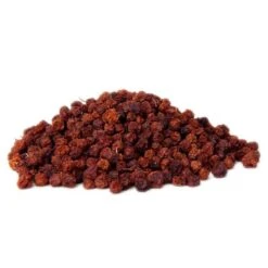 Baie De Sorbier Des Oiseleurs Au Kg - Ornibird 6 Baie De Sorbier Des Oiseleurs Au Kg - Ornibird -Magasin De Fournitures Pour Oiseaux De Compagnie baie de sorbier des oiseleurs au kg ornibird 103041250 kg grizo baie du sorbier en fruit seche dont les becs crochus indigenes e 2