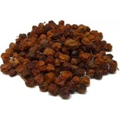 Baie De Sorbier Des Oiseleurs Au Kg - Ornibird 7 Baie De Sorbier Des Oiseleurs Au Kg - Ornibird -Magasin De Fournitures Pour Oiseaux De Compagnie baie de sorbier des oiseleurs au kg ornibird 103041250 kg grizo baie du sorbier en fruit seche dont les becs crochus indigenes e 3