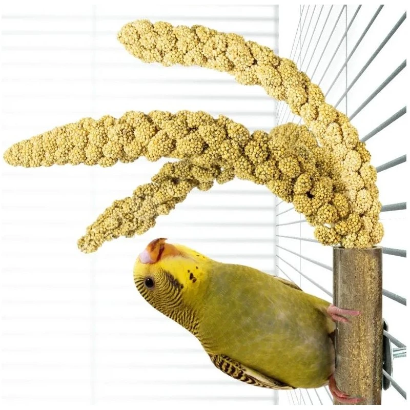 Bambou Grass Keeper +/-20cm - Back Zoo Nature 2 Bambou Grass Keeper +/-20cm - Back Zoo Nature – Image 2