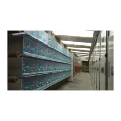 Batterie De 12 Cages 64x30x34 Modèle Champion- New Canariz 38 Batterie De 12 Cages 64x30x34 Modèle Champion- New Canariz -Magasin De Fournitures Pour Oiseaux De Compagnie batterie de 12 cages 64x30x34 modele champion new canariz 3000 new canariz livree avec un systeme de rouleaux de papier comme fo 18