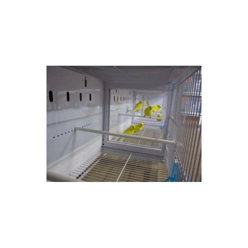 Batterie De 12 Cages 64x30x34 Modèle Champion- New Canariz 5 Batterie De 12 Cages 64x30x34 Modèle Champion- New Canariz – Image 5