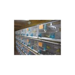 Batterie De 12 Cages 64x30x34 Modèle Champion- New Canariz 25 Batterie De 12 Cages 64x30x34 Modèle Champion- New Canariz -Magasin De Fournitures Pour Oiseaux De Compagnie batterie de 12 cages 64x30x34 modele champion new canariz 3000 new canariz livree avec un systeme de rouleaux de papier comme fo 5