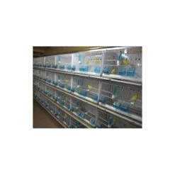 Batterie De 12 Cages 64x30x34 Modèle Champion- New Canariz 28 Batterie De 12 Cages 64x30x34 Modèle Champion- New Canariz -Magasin De Fournitures Pour Oiseaux De Compagnie batterie de 12 cages 64x30x34 modele champion new canariz 3000 new canariz livree avec un systeme de rouleaux de papier comme fo 8