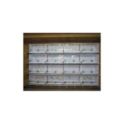Batterie De 12 Cages 64x30x34 Modèle Champion- New Canariz 29 Batterie De 12 Cages 64x30x34 Modèle Champion- New Canariz -Magasin De Fournitures Pour Oiseaux De Compagnie batterie de 12 cages 64x30x34 modele champion new canariz 3000 new canariz livree avec un systeme de rouleaux de papier comme fo 9