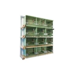 Batteries De 12 Cages 45x30x36 En Vert - New Canariz