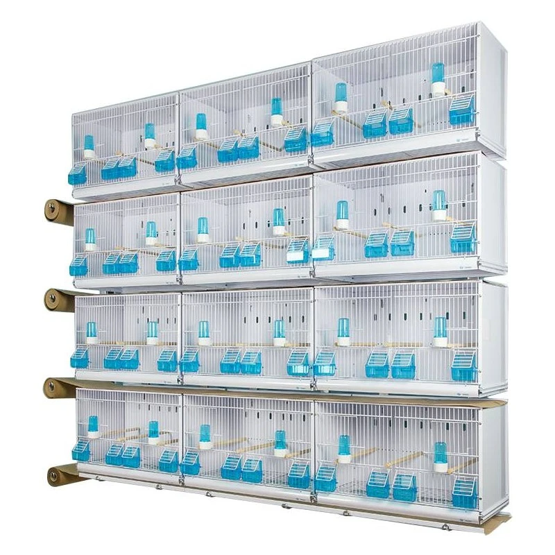 Batteries De 12 Cages 58x30x36 - Modèle Victoria - New Canariz 1 Batteries De 12 Cages 58x30x36 - Modèle Victoria - New Canariz