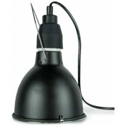 Bird Sun UV-Lamp System - Back Zoo Nature 8 Bird Sun UV-Lamp System - Back Zoo Nature -Magasin De Fournitures Pour Oiseaux De Compagnie bird sun uv lamp system back zoo nature zf7750 back zoo nature eclairage uv professionnel de back zoo nature pour oiseaux la lam 3