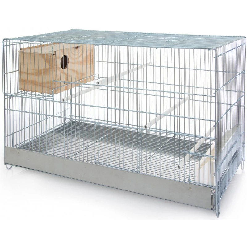 Cage Cova Pour Inséparables Avec Nid 46x40,5x71cm - Benelux 1 Cage Cova Pour Inséparables Avec Nid 46x40,5x71cm - Benelux