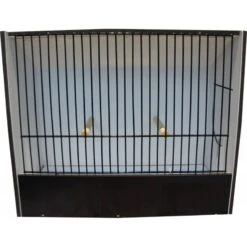 Cage Exposition Indigène Noir 18 Cm En PVC