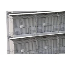 Cage Exposition Plastique 36x17x30cm - 2G-R -Magasin De Fournitures Pour Oiseaux De Compagnie cage exposition plastique 36x17x30cm 2g r art 315fn3 2g r cage de preparation avec facade noire 1 porte centrale avec ressort et 3