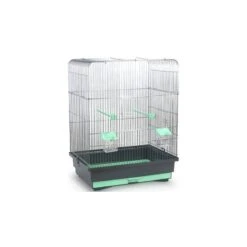 Cage Pour Oiseaux Thibo Menthe