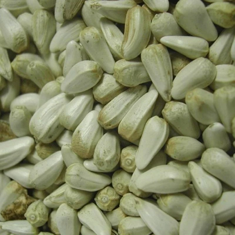 Cardi Extra 15kg - Duvo 2 Cardi Extra 15kg - Duvo – Image 2