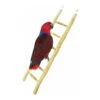 Echelle Bois 60cm - Back Zoo Nature