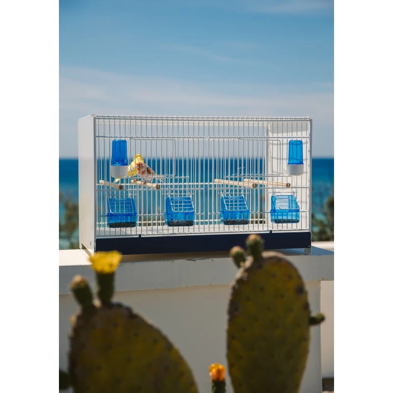 Ensemble De 4 Cages 60x33x33cm Avec Chariot ART.90 - Modèle Einstein - Italgabbie 2 Ensemble De 4 Cages 60x33x33cm Avec Chariot ART.90 - Modèle Einstein - Italgabbie – Image 2