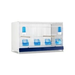 Ensemble De 4 Cages 60x33x33cm Avec Chariot ART.90 - Modèle Einstein - Italgabbie 7 Ensemble De 4 Cages 60x33x33cm Avec Chariot ART.90 - Modèle Einstein - Italgabbie -Magasin De Fournitures Pour Oiseaux De Compagnie ensemble de 4 cages 60x33x33cm avec chariot art90 modele einstein italgabbie art90 4 t italgabbie ensemble de 4 cages a tiroirs 1 2