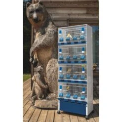 Ensemble De 4 Cages 60x33x33cm Avec Chariot ART.90 - Modèle Einstein - Italgabbie 8 Ensemble De 4 Cages 60x33x33cm Avec Chariot ART.90 - Modèle Einstein - Italgabbie -Magasin De Fournitures Pour Oiseaux De Compagnie ensemble de 4 cages 60x33x33cm avec chariot art90 modele einstein italgabbie art90 4 t italgabbie ensemble de 4 cages a tiroirs 1 3