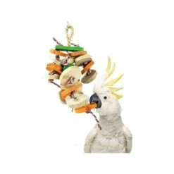 Forêt Sauvage M-+/-30cm - Back Zoo Nature