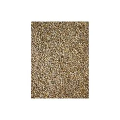 Graines D'épinard 15kg - Grizo