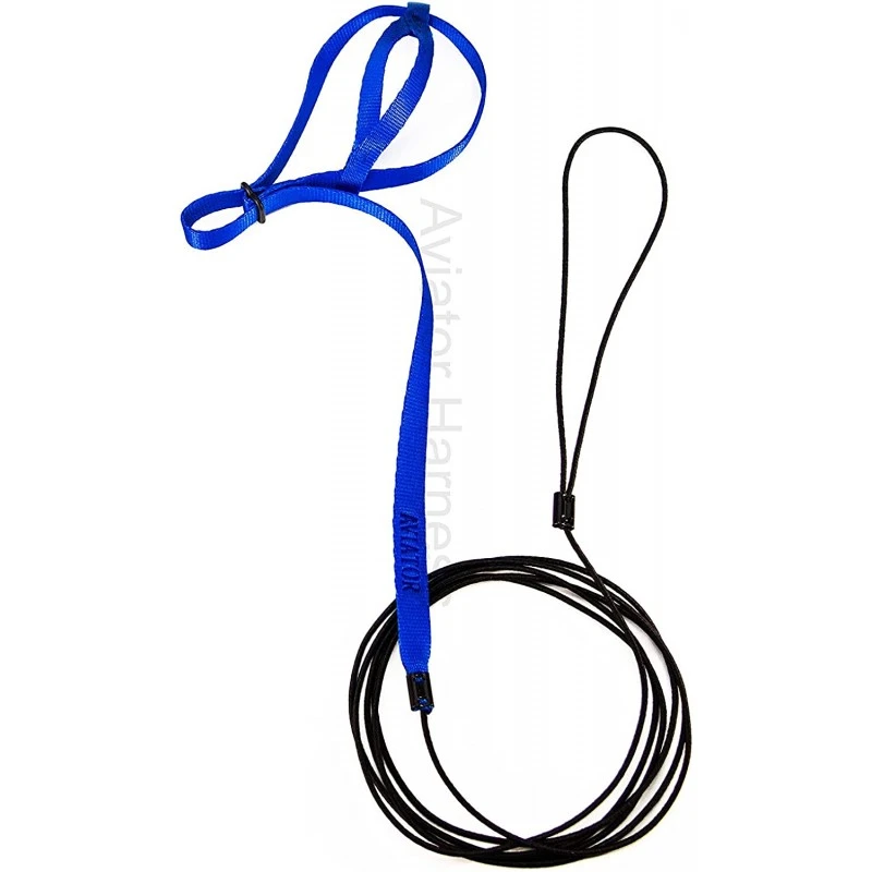 Harnais Pour Perroquet AVIATOR Petit Bleu 2 Harnais Pour Perroquet AVIATOR Petit Bleu – Image 2