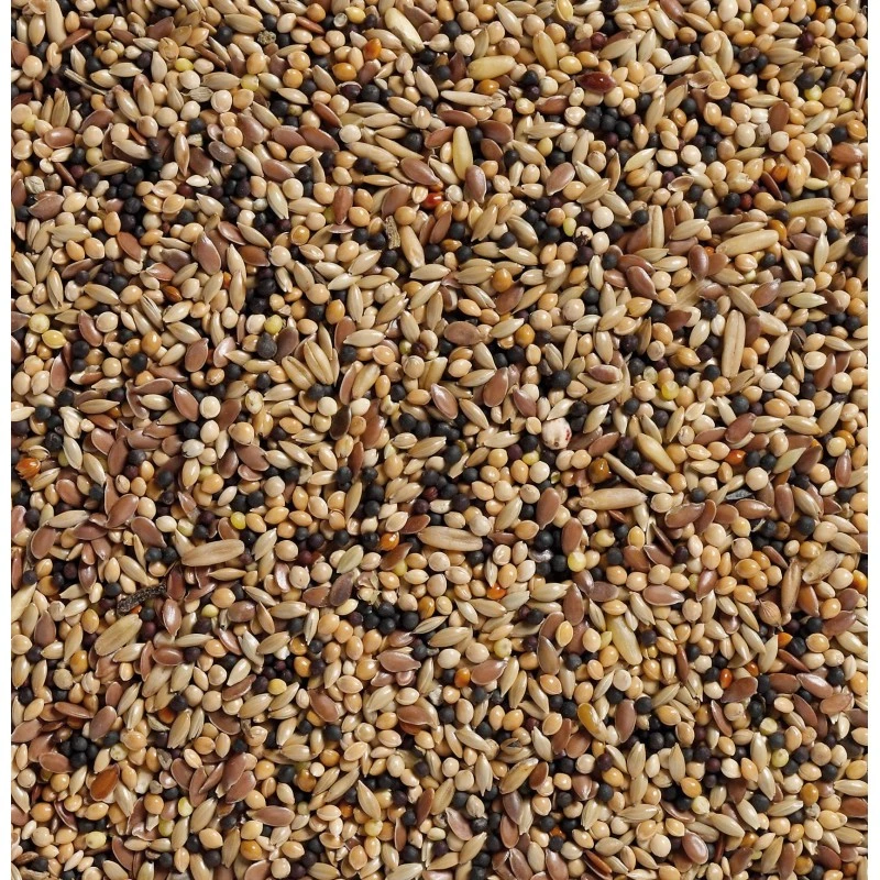 N°34 Volière 20kg - Deli Nature 2 N°34 Volière 20kg - Deli Nature – Image 2