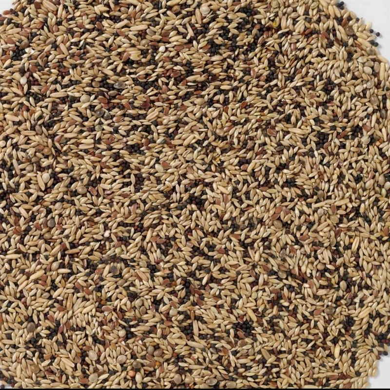 N°53 Canaris Extra 20kg - Deli Nature 2 N°53 Canaris Extra 20kg - Deli Nature – Image 2