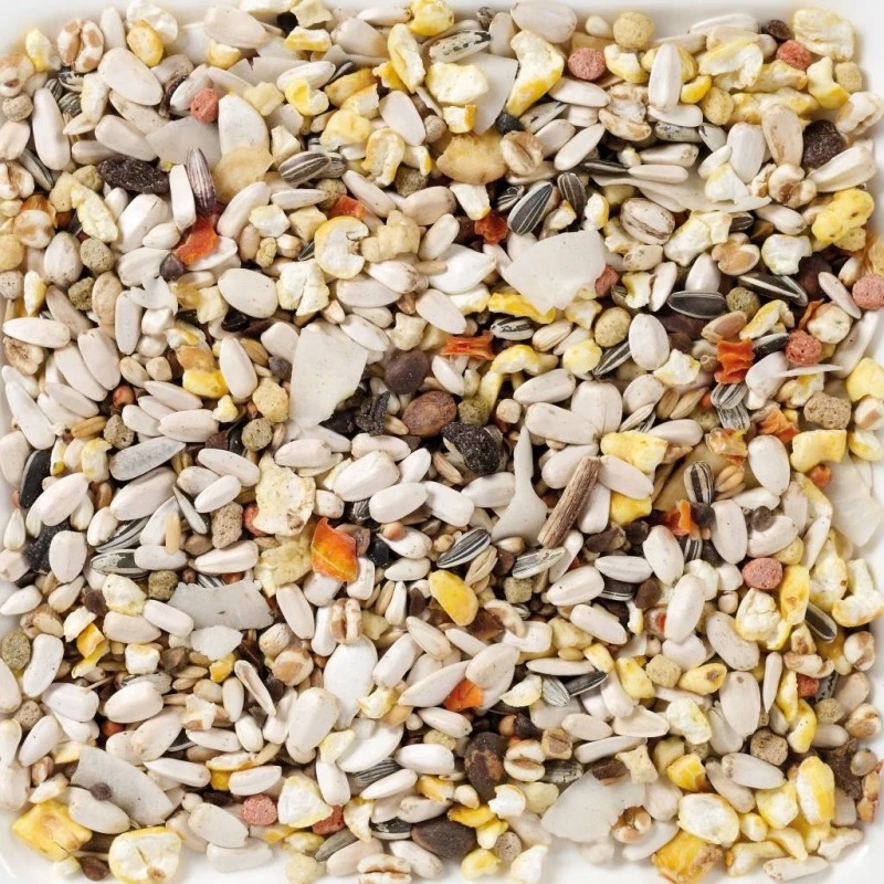 N°64 Perroquets Supreme Fruit 15kg - Deli Nature 2 N°64 Perroquets Supreme Fruit 15kg - Deli Nature – Image 2