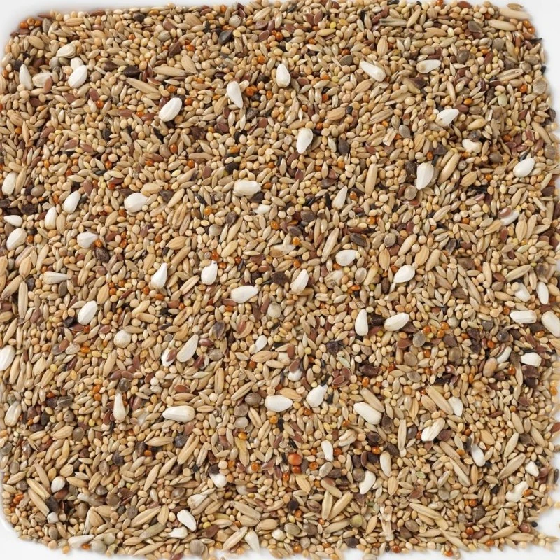 N°68 Grandes Perruches Sans Tournesols 20kg - Deli Nature 2 N°68 Grandes Perruches Sans Tournesols 20kg - Deli Nature – Image 2