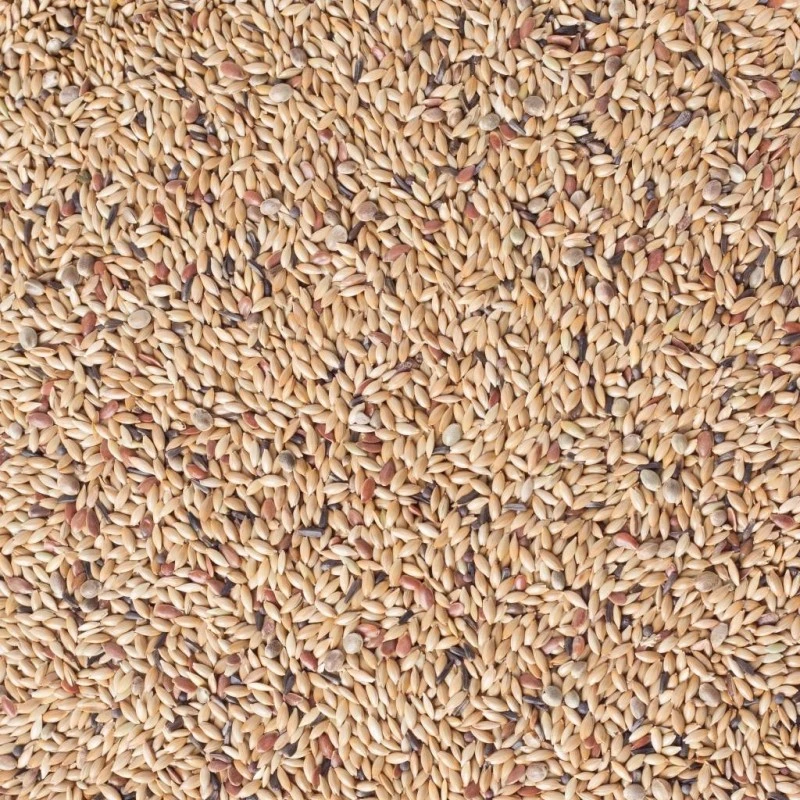 N°81 Canaris Light Sans Navettes 20kg - Deli Nature 2 N°81 Canaris Light Sans Navettes 20kg - Deli Nature – Image 2