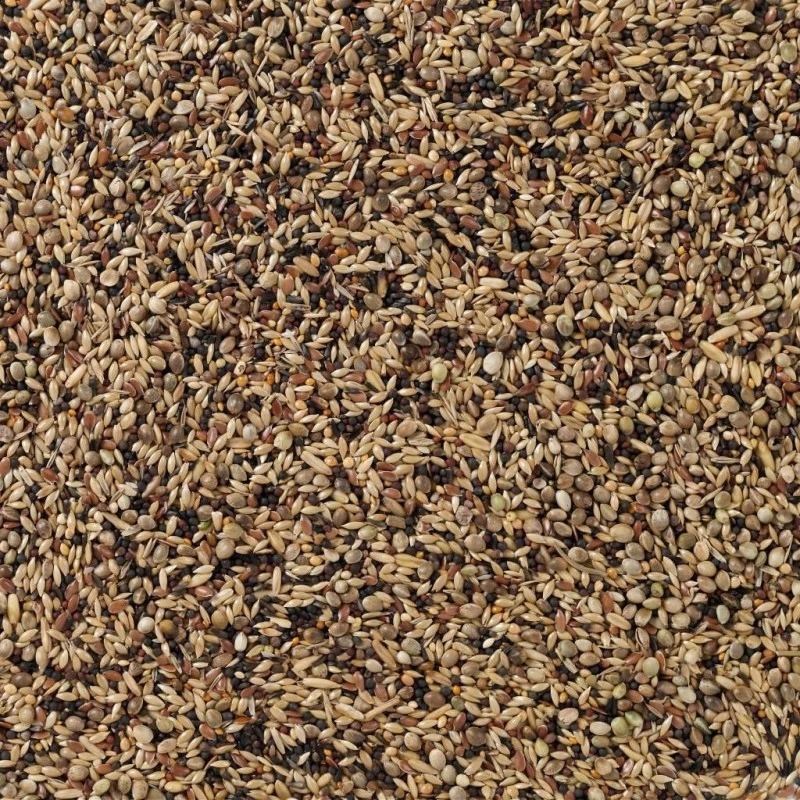 N°91 Oiseaux Indigènes 20kg - Deli Nature 2 N°91 Oiseaux Indigènes 20kg - Deli Nature – Image 2