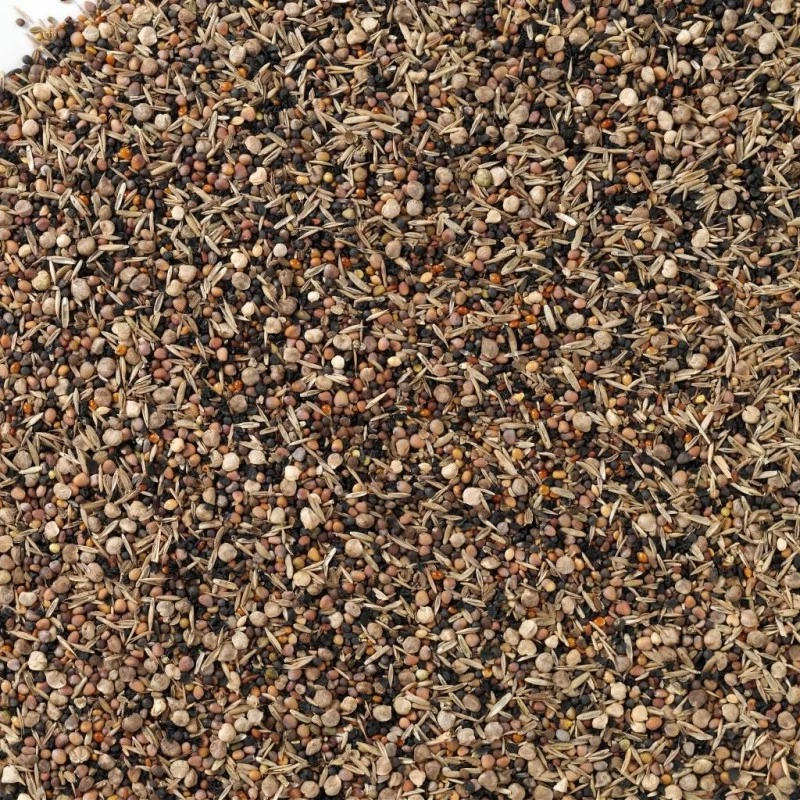 N°93 Graines De Santé Supreme 15kg - Deli Nature 2 N°93 Graines De Santé Supreme 15kg - Deli Nature – Image 2