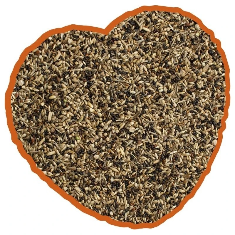 Oiseau Indigène Mix 4kg - Duvo+ 2 Oiseau Indigène Mix 4kg - Duvo+ – Image 2