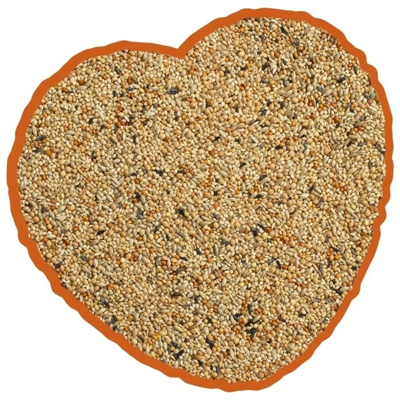 Oiseau Tropical Mix 4kg - Duvo+ 2 Oiseau Tropical Mix 4kg - Duvo+ â Image 2