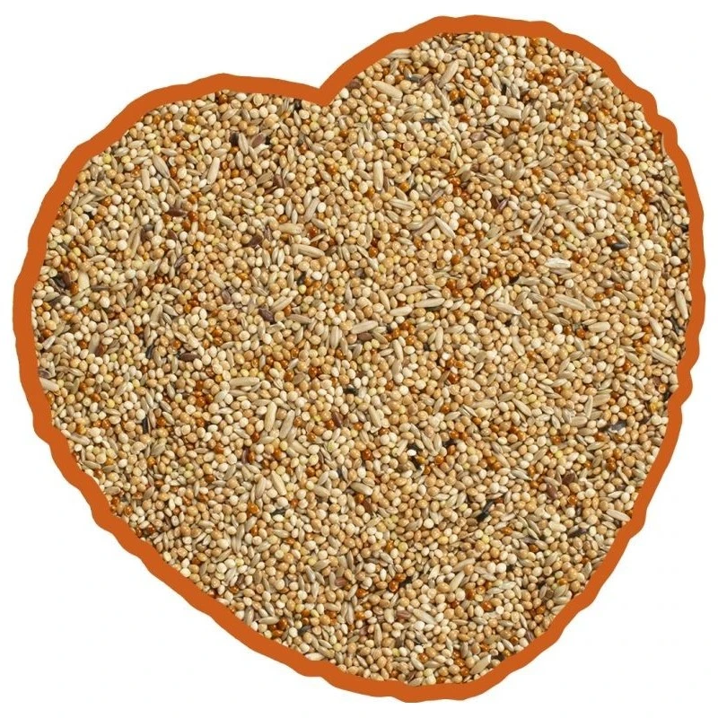 Perruche Mix 20kg - Duvo+ 2 Perruche Mix 20kg - Duvo+ â Image 2