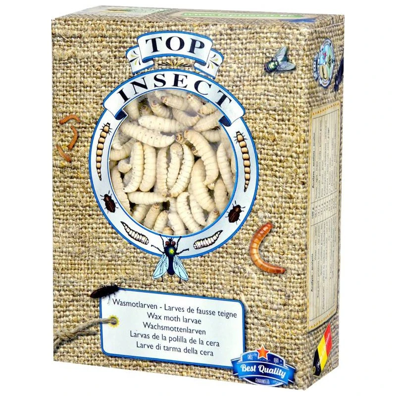 Teignes De Ruches (insectes Congelés) 450gr - Top Insect 1 Teignes De Ruches (insectes Congelés) 450gr - Top Insect